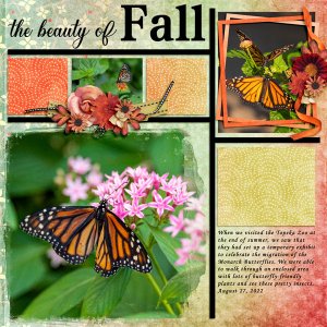 the beauty of fall