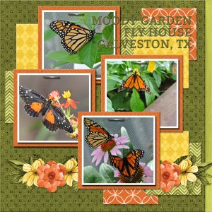 Moody Gardens Fly House, Galveston, Texas