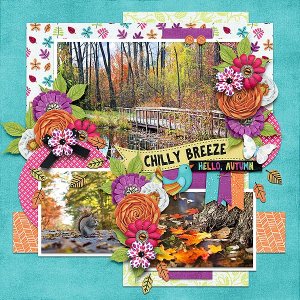 chilly breeze