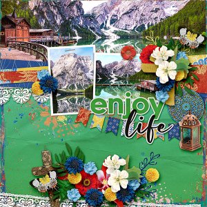 Enjoy Life