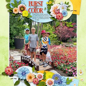 Burst of Color