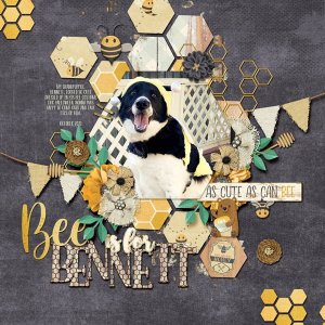Bee_is_for_Bennett-min