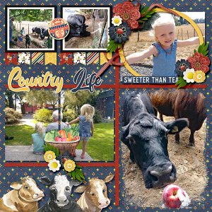 Country Life