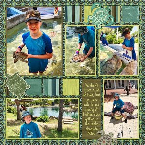 2019 Cruise Turtles