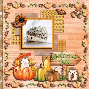 Pet Hedgehog