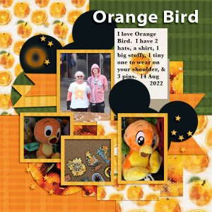 O is for Orange Bird
