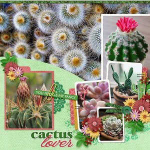 Cactus Lover