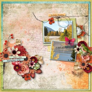 Autumn Beauty