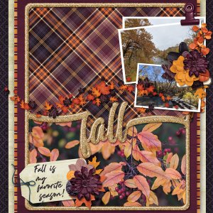 Fall Leaves