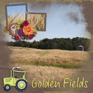 Golden Fields