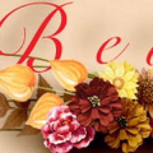 Sept Fall Siggy