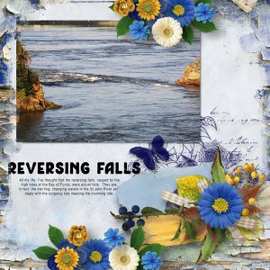 Reversing Falls