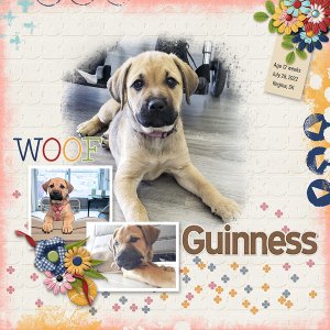 Woof