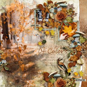 a journey of colors