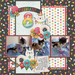 Celebrate 8