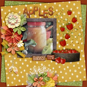 Apples17