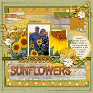 Sunflowers