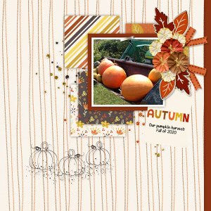 Autumn Colors-Lindsay Jane