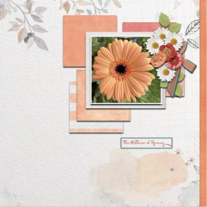 Spring Flower