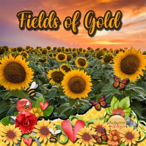 Fields of Gold
