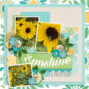 Sunshine