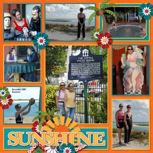 Kit by Designs by Connie Prince called Travelogue Florida