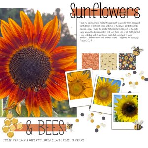 Sunflowers and Bees