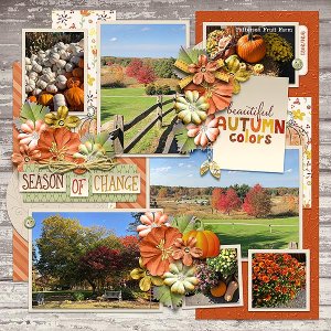 autumn colors