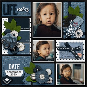 Life Notes I Love You