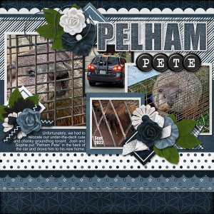 Pelham Pete