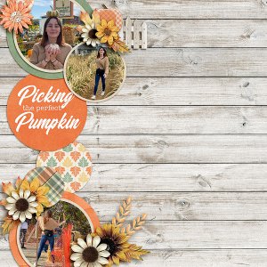Pumpkins19