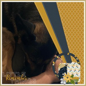 Ransom's Snuggly Night