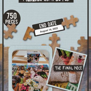 Puzzle Completed