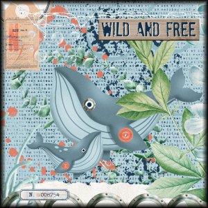 Wild and Free