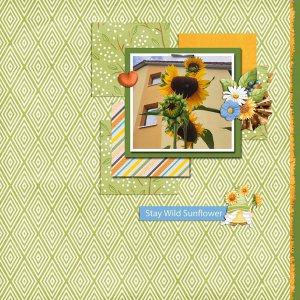 stay wild sunflower
