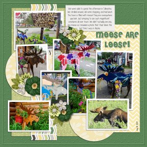 Moose Are Loose