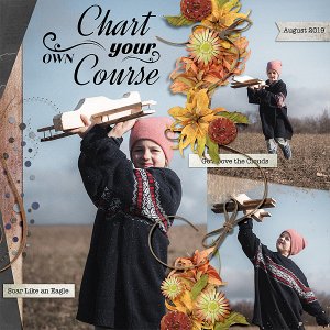 Chart Your Own Course