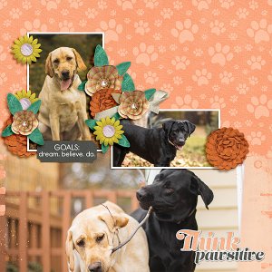 Think Pawsitive