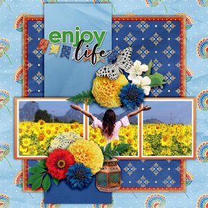 Enjoy-life12