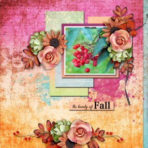 The-beauty-of-fall1