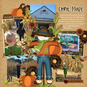 Corn Maze