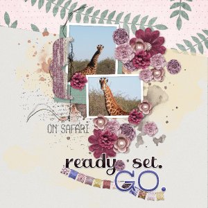 on_safari1
