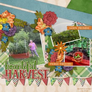 Bountiful Harvest