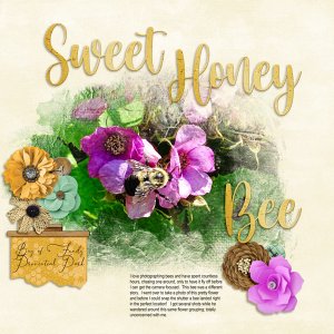 Bee Model