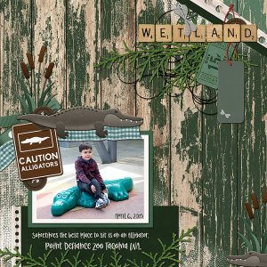 Outdoor Swamp