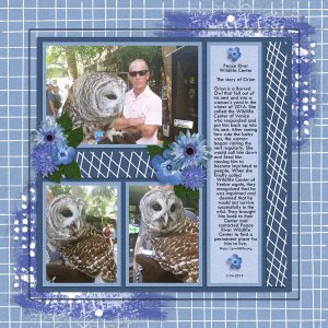 My Photo Book 3 Temp #3-Tinci, Blueberry Patch-Memory Mosaic