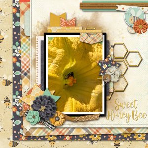 Sweet Honey Bee