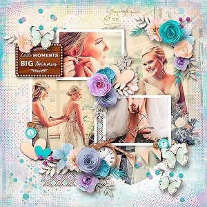 Beautiful Bride