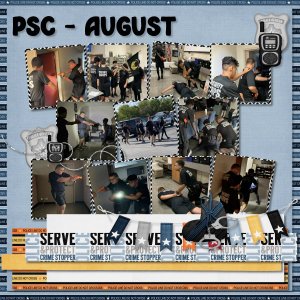 psc8-22