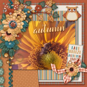 autumn flowers